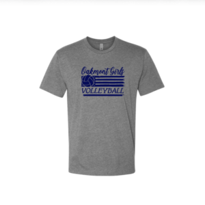 Grey and Blue T-Shirt #1