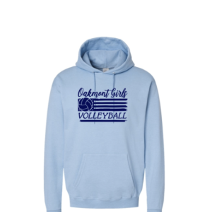 Light Blue Hoodie #1